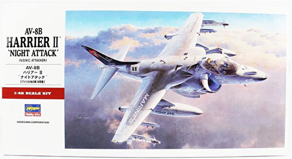 Hasegawa Maket Uçak