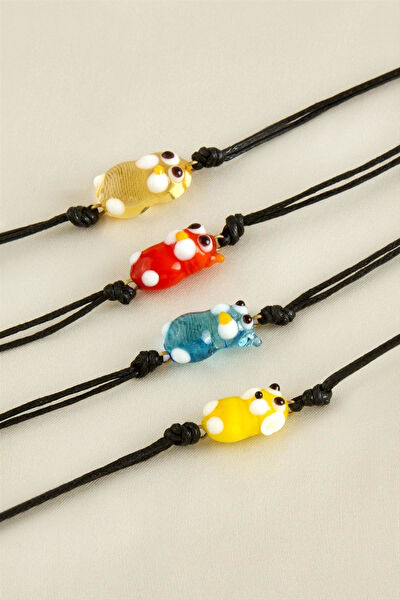 Genel Cam Aksesuarları