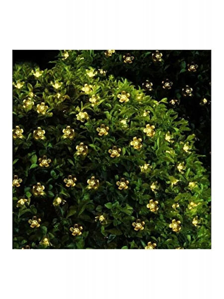 TTT Güneş Enerjili Aydınlatma