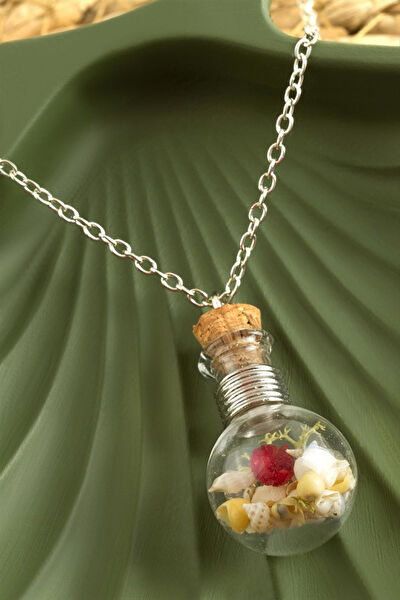 Genel Teraryum, Teraryum Aksesuarları