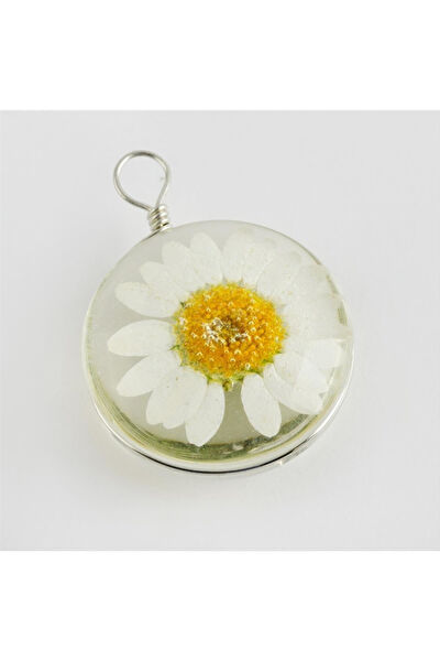 Genel Kolye, Zincir, Künye