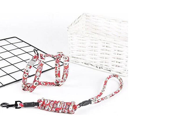 TTT Kedi Tasmaları ve İsimlikler