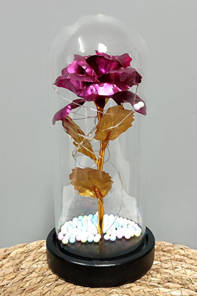 Genel Masa Üstü Aydınlatma