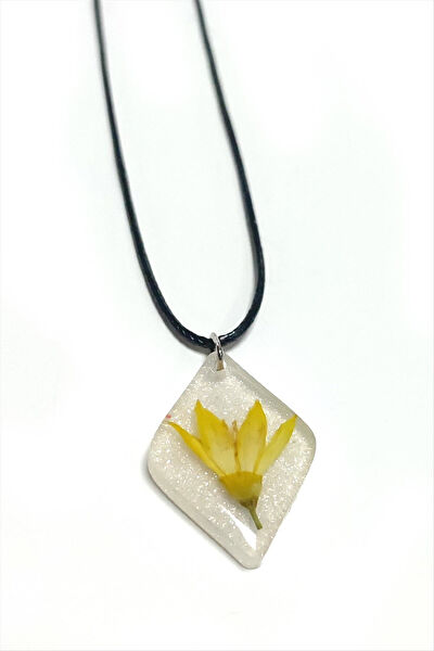 Genel Kolye, Zincir, Künye