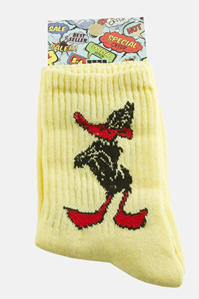 Genel Çorap, Konç, Tozluk