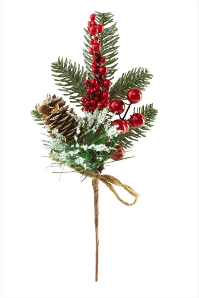 Genel Yılbaşı Süsleri