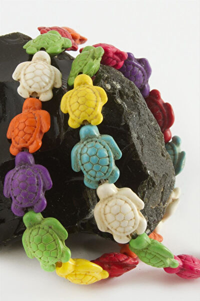 Genel Takı Aparatları