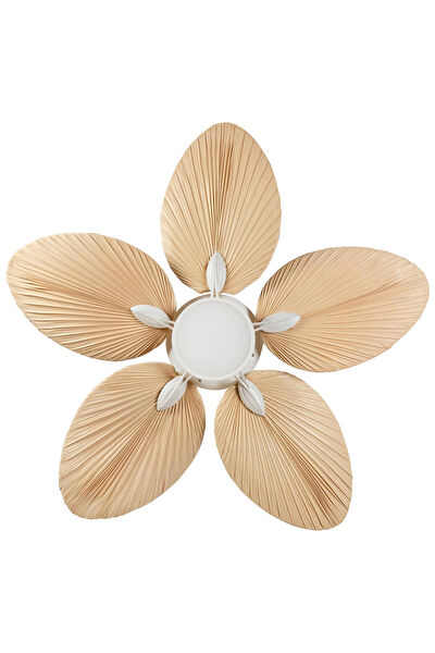 Lasttouch Interiors Vantilatörler