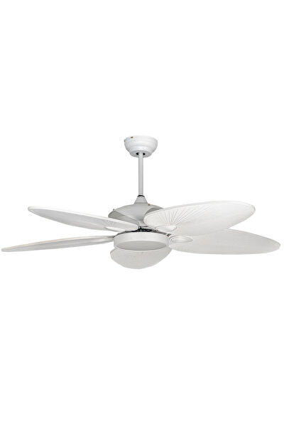 Lasttouch Interiors Vantilatörler