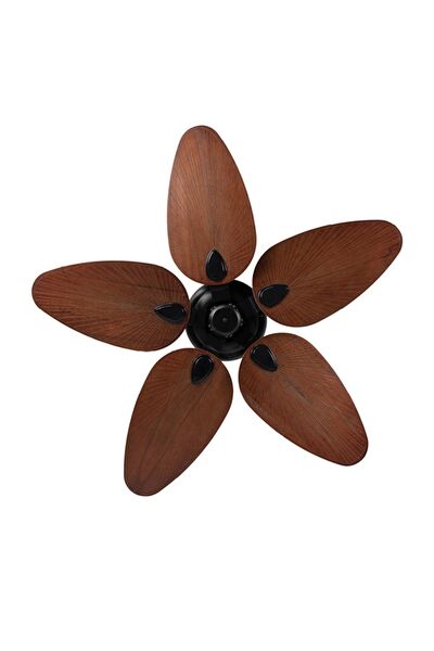 Lasttouch Interiors Vantilatörler