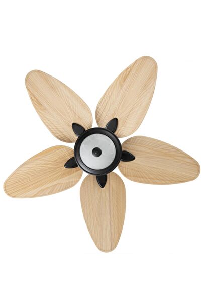 Lasttouch Interiors Vantilatörler