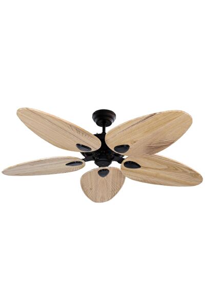 Lasttouch Interiors Vantilatörler