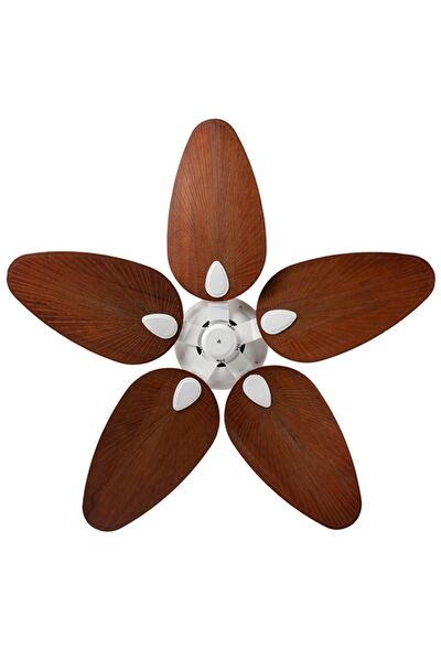 Lasttouch Interiors Vantilatörler