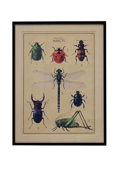 Lasttouch Interiors Çerçeveli Tablo