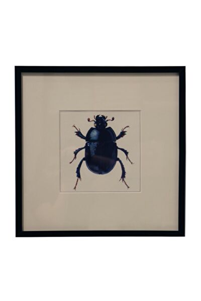 Lasttouch Interiors Çerçeveli Tablo