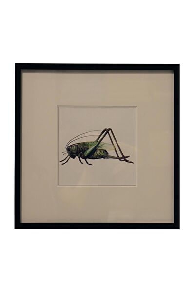 Lasttouch Interiors Çerçeveli Tablo