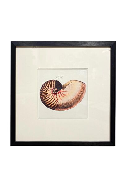 Lasttouch Interiors Çerçeveli Tablo