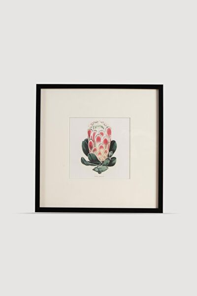 Lasttouch Interiors Çerçeveli Tablo