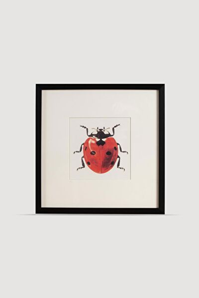 Lasttouch Interiors Çerçeveli Tablo