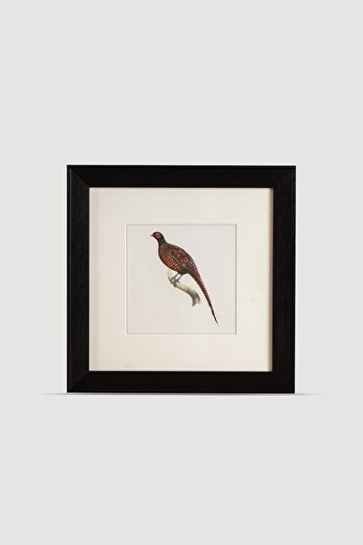 Lasttouch Interiors Çerçeveli Tablo