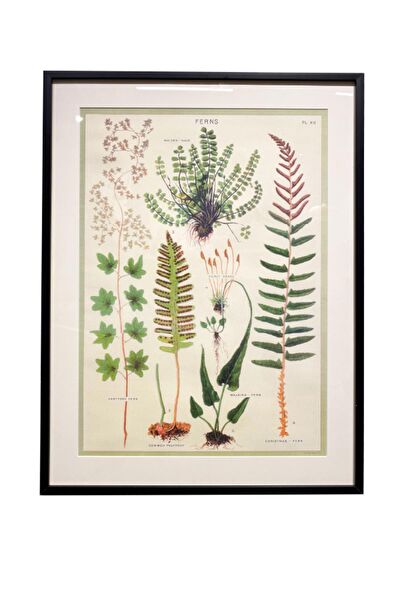 Lasttouch Interiors Çerçeveli Tablo