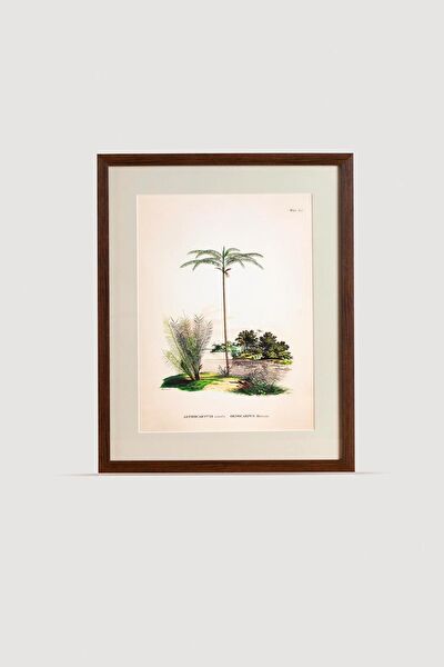 Lasttouch Interiors Çerçeveli Tablo