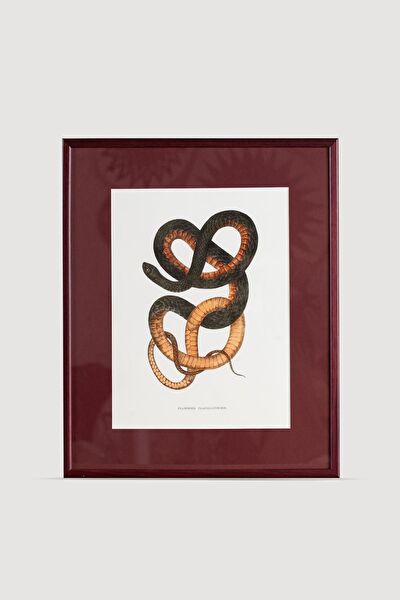 Lasttouch Interiors Çerçeveli Tablo