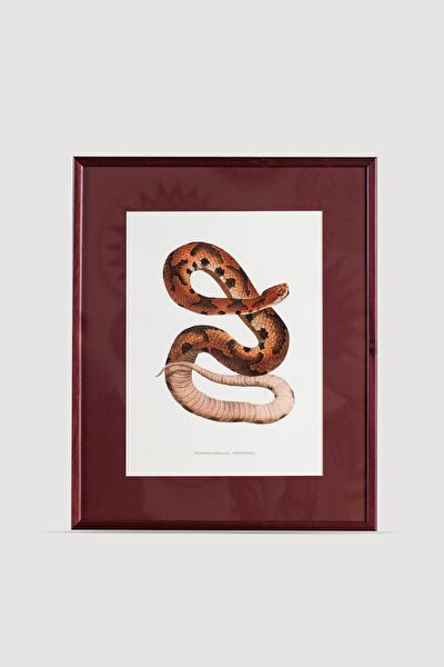 Lasttouch Interiors Çerçeveli Tablo