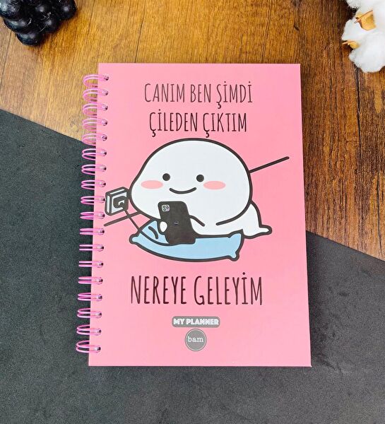 Bam Defter, Ajanda