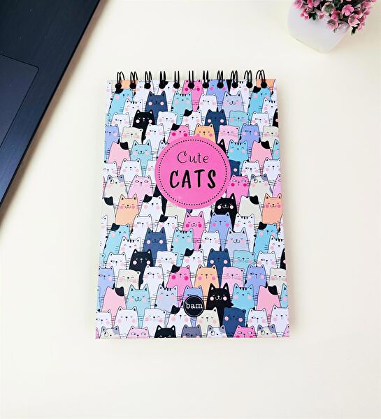 Bam Defter, Ajanda