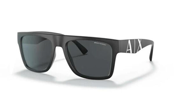 Armani Exchange Erkek Güneş Gözlüğü