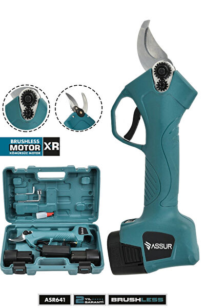 Assur Budama Makası