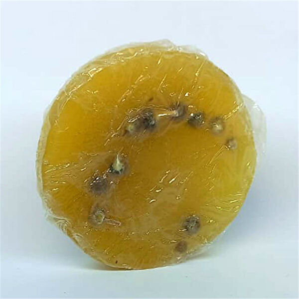 Casaba Hediyelik Sabun