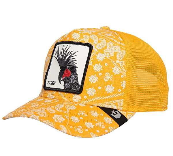 Goorin Bross Şapka, Bere, Kulaklık