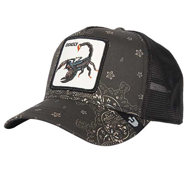 Goorin Bross Şapka, Bere, Kulaklık