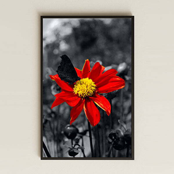 Komut Çerçevesiz Tablo