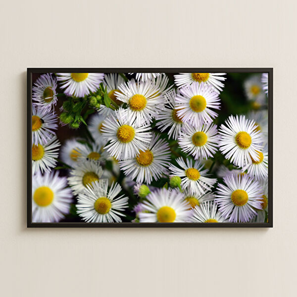 Komut Çerçevesiz Tablo