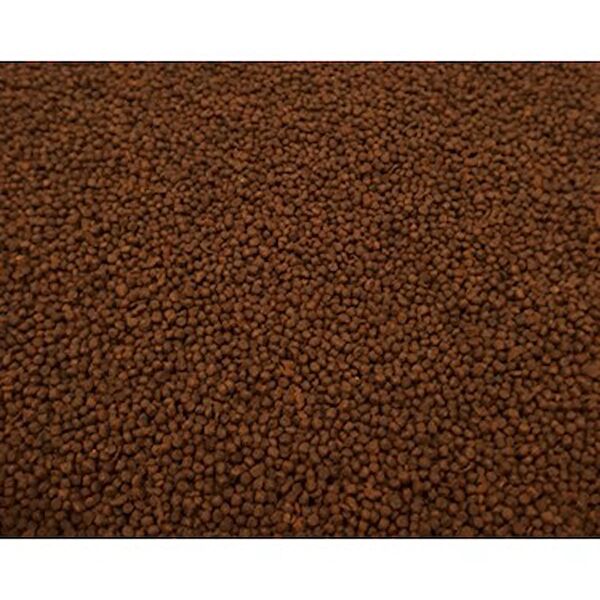 Akvaryum Balık Yemi