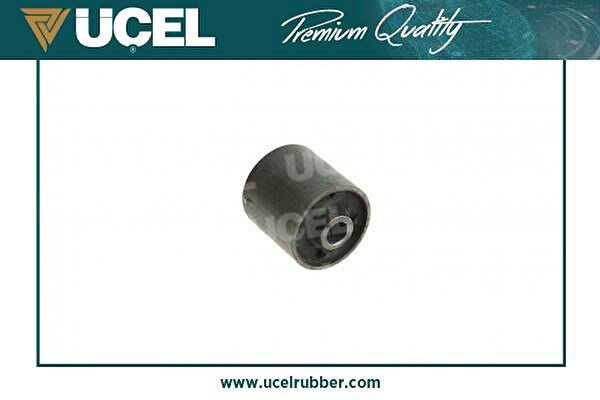 Universal Torsiyon Burcu