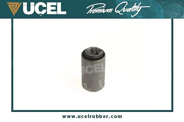 Universal Torsiyon Burcu