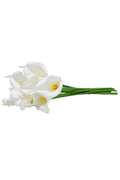 Vizyon Çiçek Yapay Çiçek, Meyve