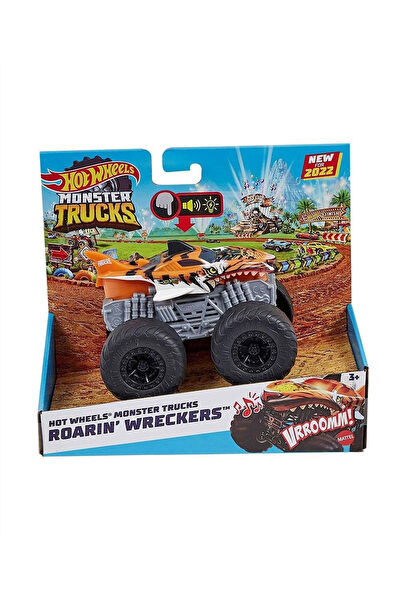 Hot Wheels Oyuncak Arabalar