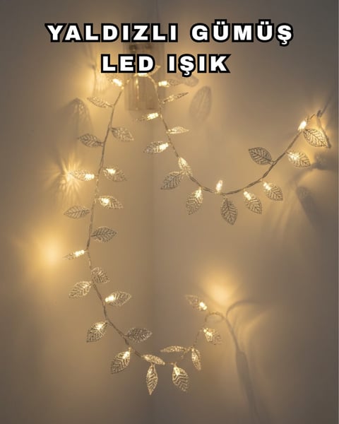 ELIVORA Led Işıklı Tablo