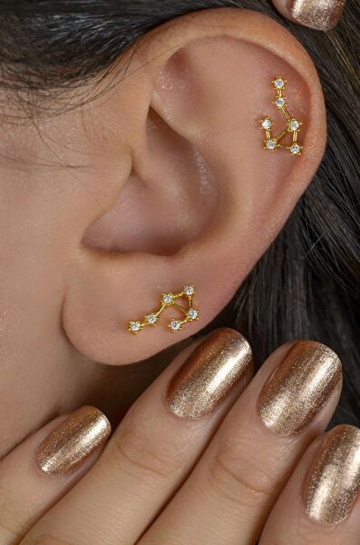 Sacce Scarves&Accessories Kadın Piercing