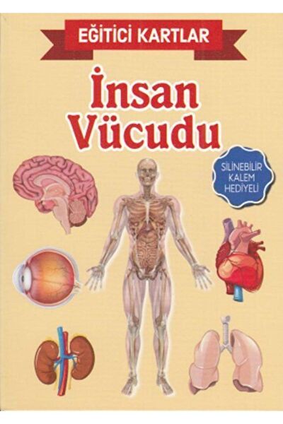 Teleskop Popüler Bilim Aktivite ve Zeka Gelişim Kitapları