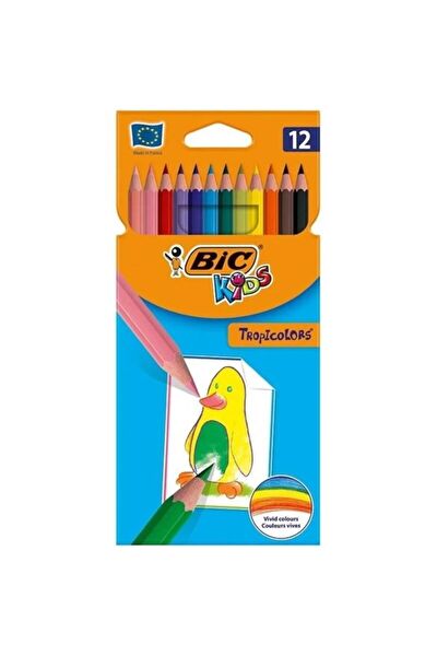 BIC Kuru Boya