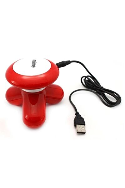 Lisinya Masaj Cihazı, Aleti