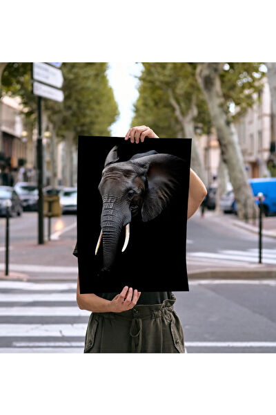 Rosaart Poster, Afiş