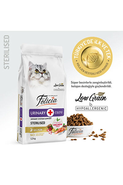 Felicia Kedi Maması