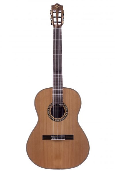 Martinez, Ernie Ball Gitar